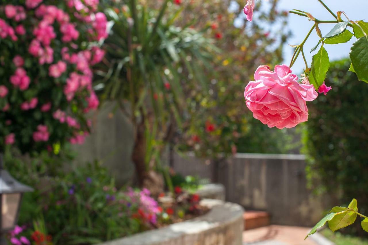 Apartments Cvjetni Dvori マカルスカ エクステリア 写真