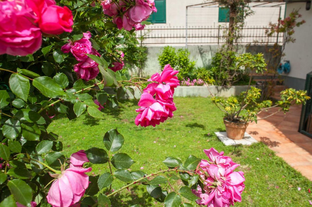 Apartments Cvjetni Dvori マカルスカ エクステリア 写真